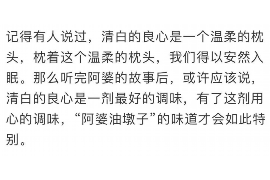 武胜武胜的要账公司在催收过程中的策略和技巧有哪些？